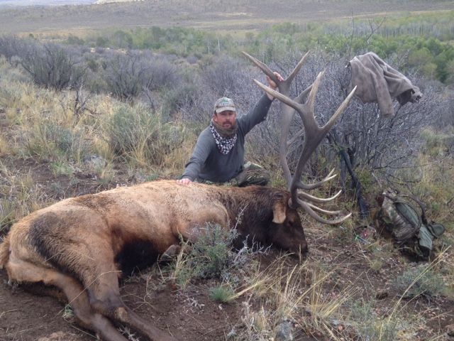Elk